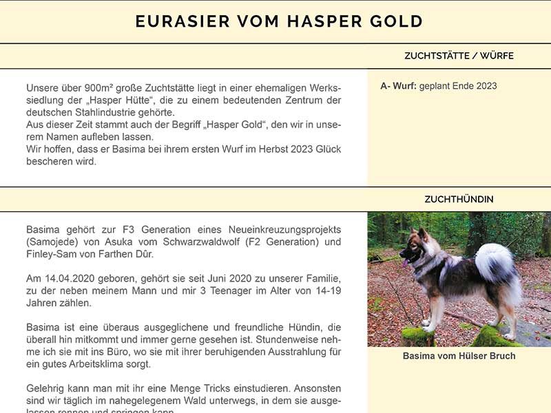 KV-vom-Hasper-Gold